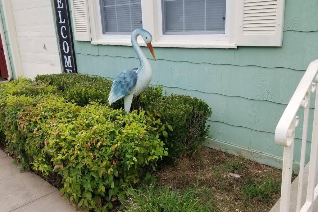 Blue Flamingo'S Charming Home-Heart Of Tulsa2- Cherry St-Expo-11Th Bagian luar foto
